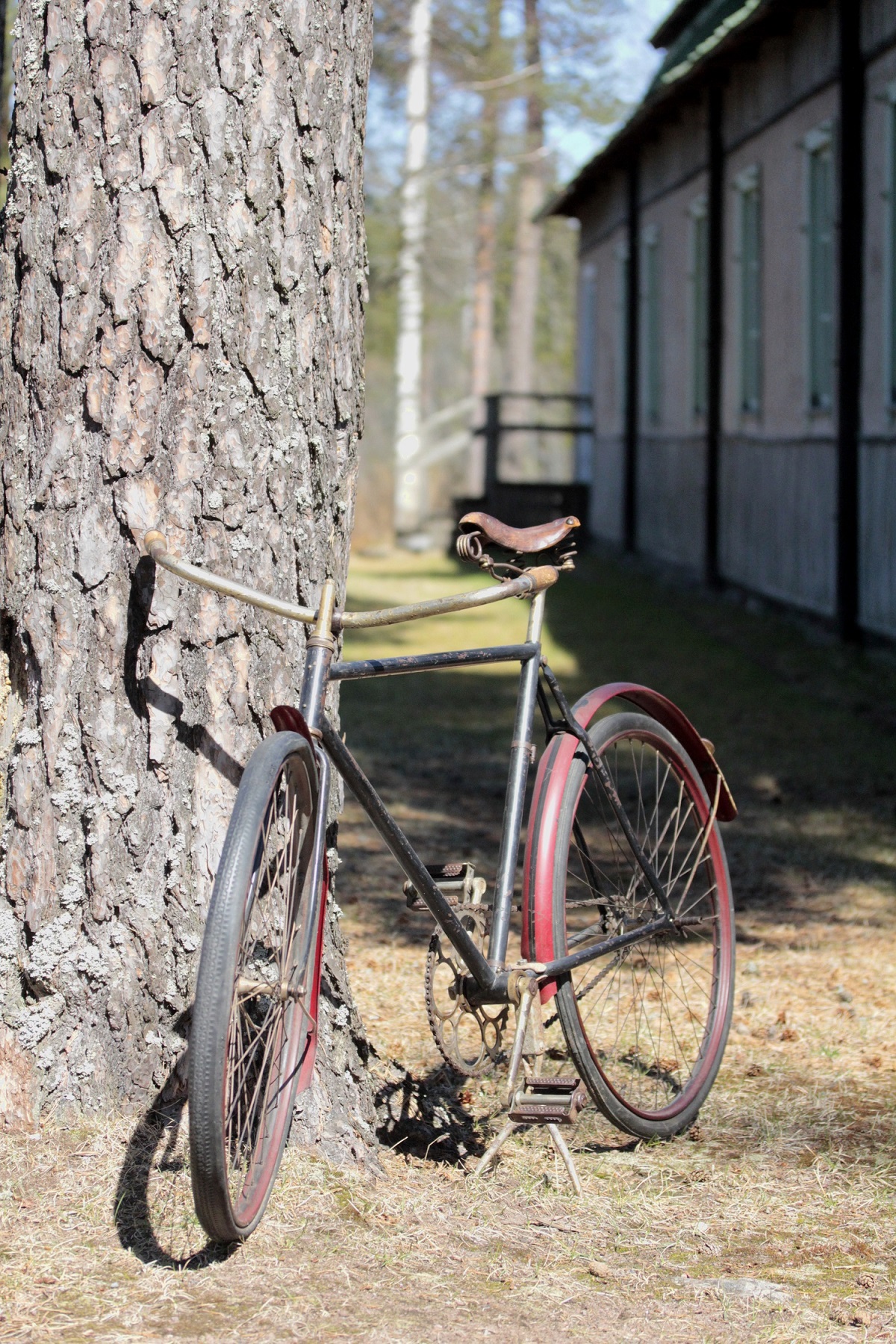 Kuvassa Emil Cedercreutzin polkupyörä. Kuva © Emil Cedercreutzin museo